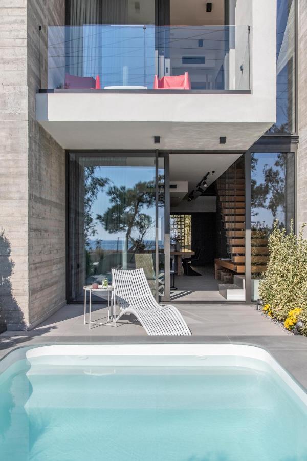 Ikies 3 Modern Eco-Friendly Private Seaview Signature Villas With A Pool Volos Esterno foto