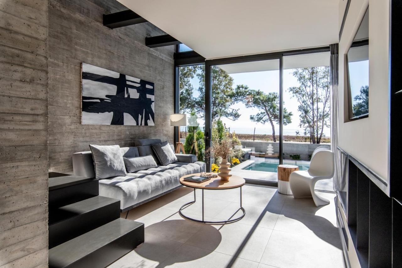 Ikies 3 Modern Eco-Friendly Private Seaview Signature Villas With A Pool Volos Esterno foto