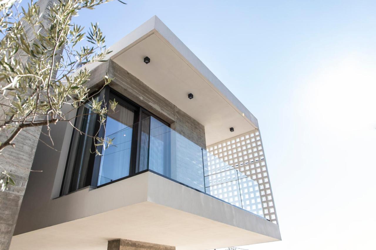 Ikies 3 Modern Eco-Friendly Private Seaview Signature Villas With A Pool Volos Esterno foto